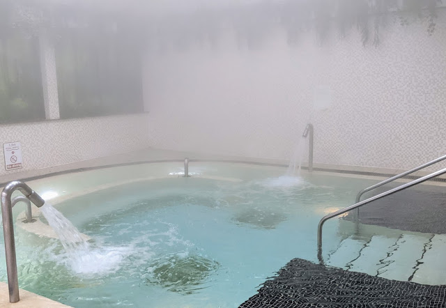 Center Parcs Whinfell Forest Spa Review  - hydropool