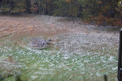 October snowfall, 2019