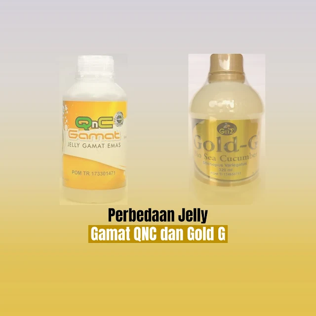 Perbedaan Jelly Gamat QNC dan Gold G, perbedaan jelly gamat qnc dan gold g, perbedaan gamat gold g dan qnc, perbedaan jelly gamat qnc dan luxor, perbedaan jelly gamat gold dan qnc, perbedaan qnc jelly gamat dan gold g, perbedaan gamat qnc dan gold g, perbedaan jelly gamat gold g dan qnc, perbedaan manfaat qnc jelly gamat dan jelly gamat gold g, perbedaan gamat gold dan qnc,