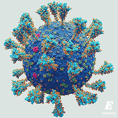 Corona virus