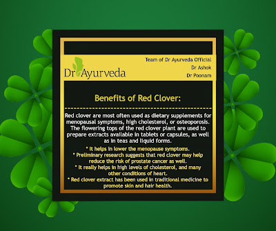 Benefits of Red Clover by Dr Ayurveda