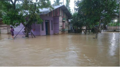 3.519 warga aceh timur mengungsi akibat banjir