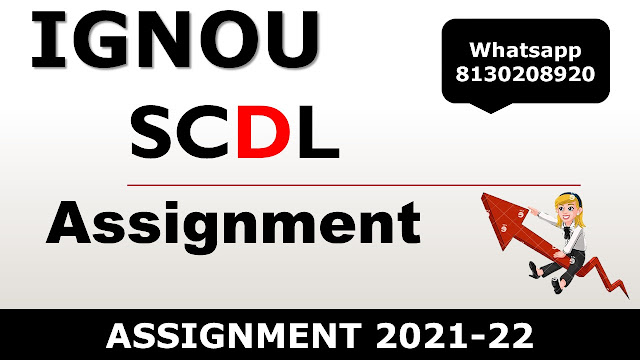 SCDL Assignment 2021-22