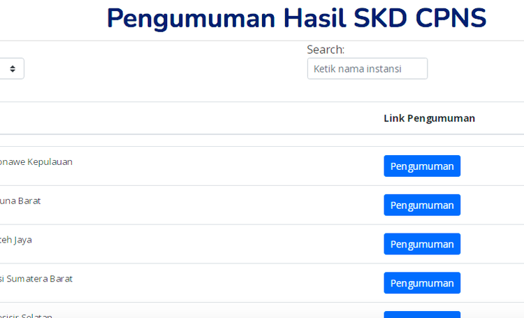 Simak!!! Hasil Pengumuman SKD CPNS Tahap 2, Cek Laman di sscasn.bkn.go.id