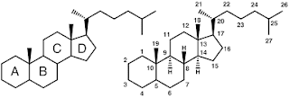 Steroid