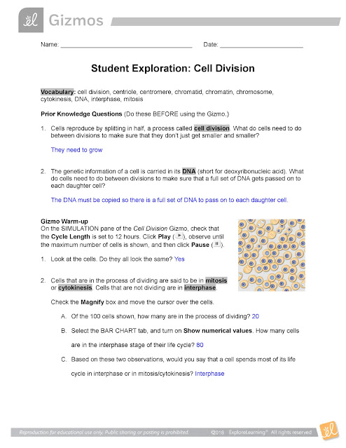 Cell Division SE – bio PDF free download