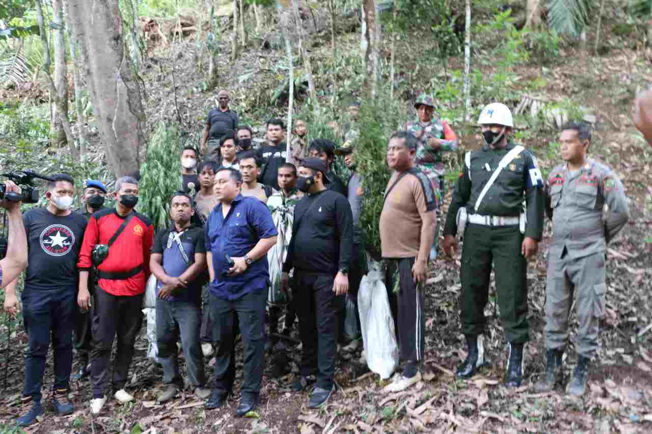 Polda Sumut Musnahkan Dua Hektar Ladang Ganja di Pegunungan Tor Mangompang