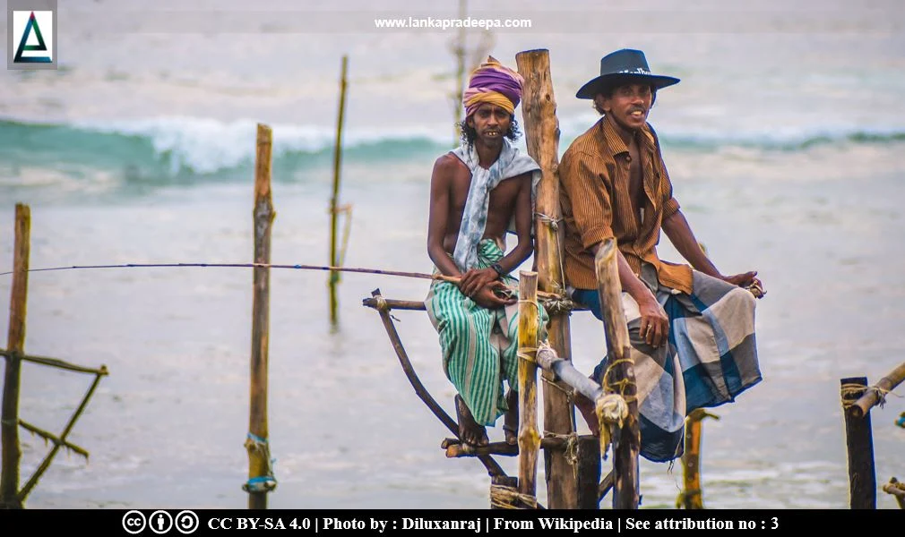 Stilt Fishing in Sri Lanka