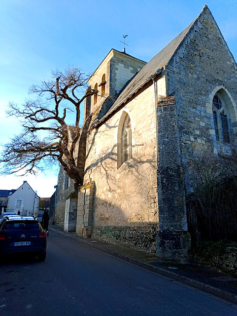 Oak tree growing in the church wall, Cheille, Indre et Loire, France. Photo by Loire Valley Time Travel.