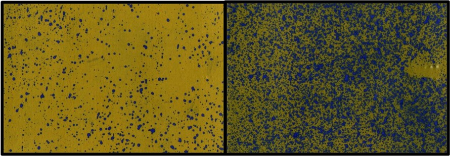 A photo of water sensitive paper that starts out yellow in color, turning blue when droplets touch it.