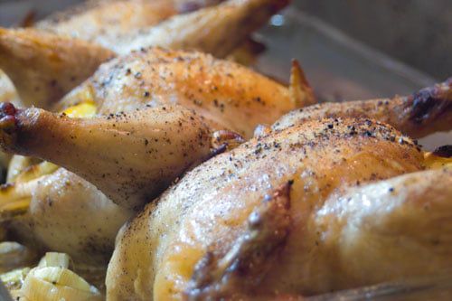 Lemon Leek Roasted Cornish Game Hens Recipe