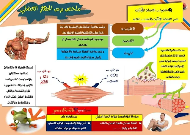 ملخصات دروس علوم الحياة والأرض SVT للسنة الثالثة إعدادي وفق آخر المستجدات التربوية على شكل خطاطات رائعة.