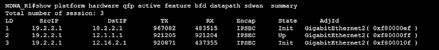 Cisco SDWAN BFD