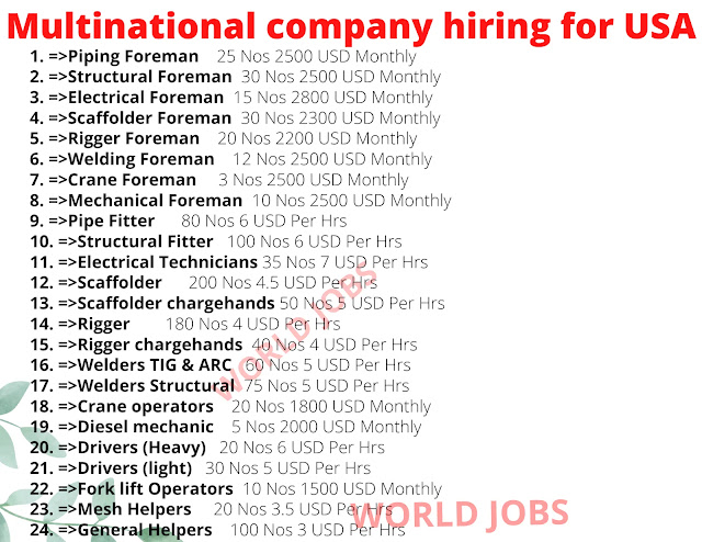 Multinational company hiring for USA