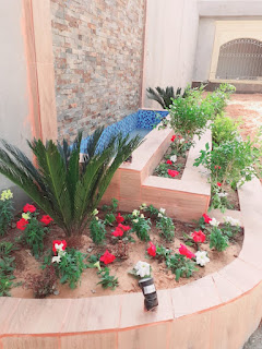 شركات تنسيق الحدائق بمدينة الرياض