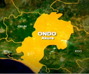 Fruit farmer murdered in her farm in Ondo