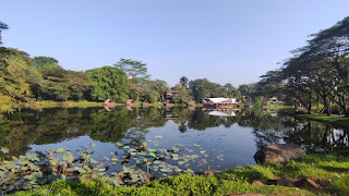 3 Rekomendasi Tempat Jogging Di Bogor, Nomor 3 Banyak Jajanannya!