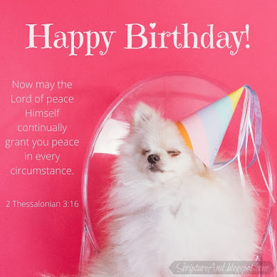 Birthday Image with dog and 1 Thessalonians 3:16 | scriptureand.blogspot.com