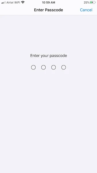 iPhone Passcode