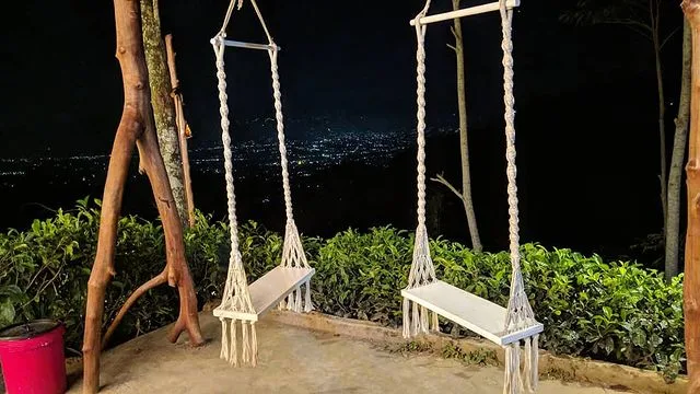 spot foto kebun teh nglinggo malam hari