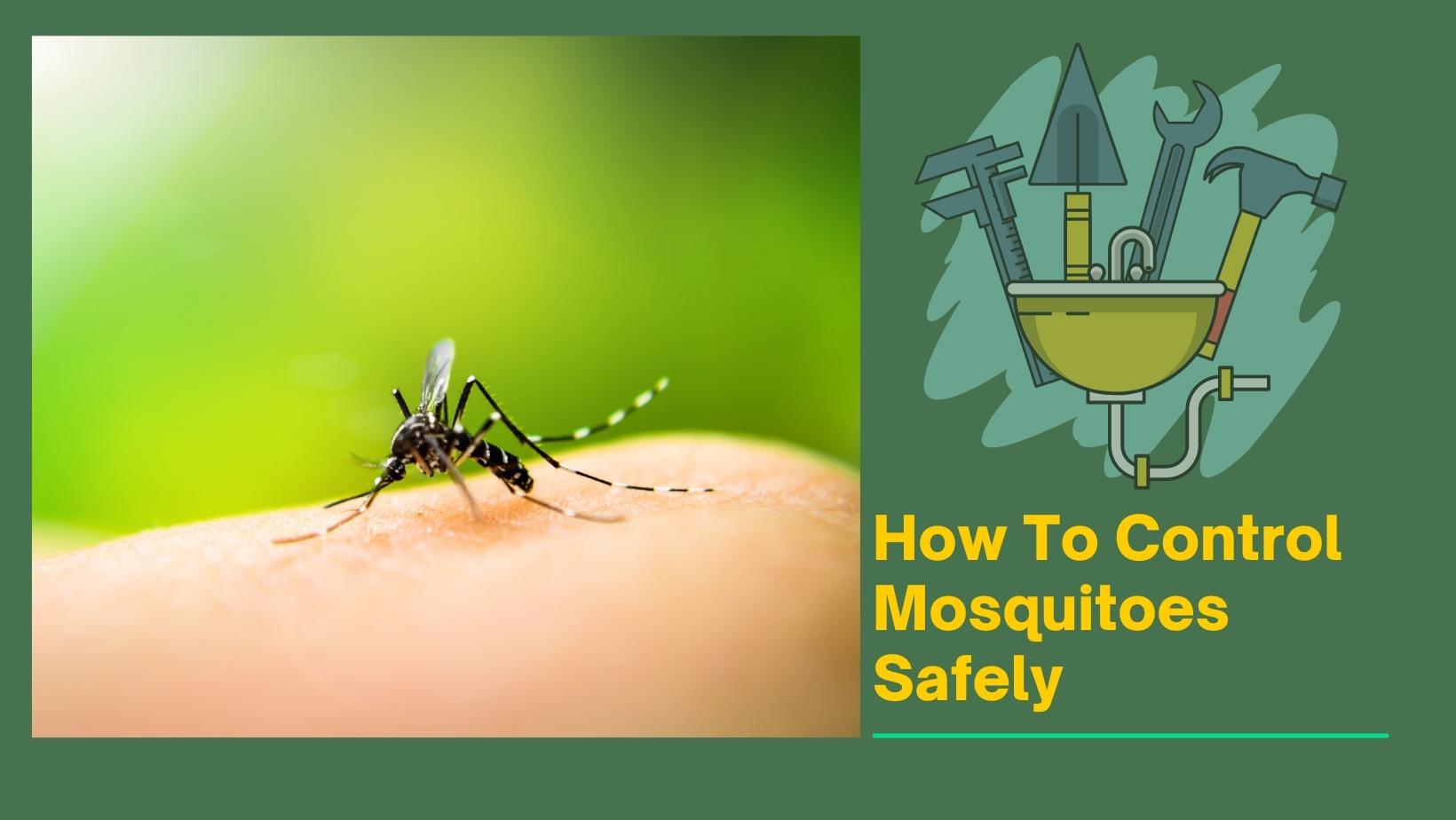 How To Control Mosquitoes Safely