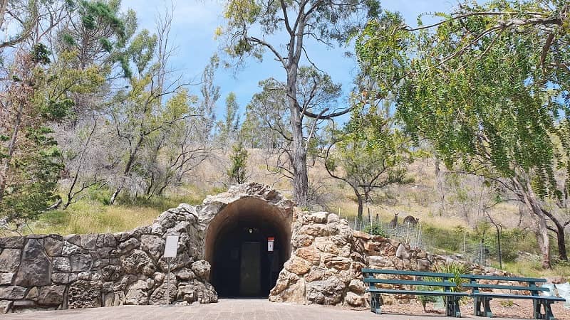 Buchan Caves Reserve