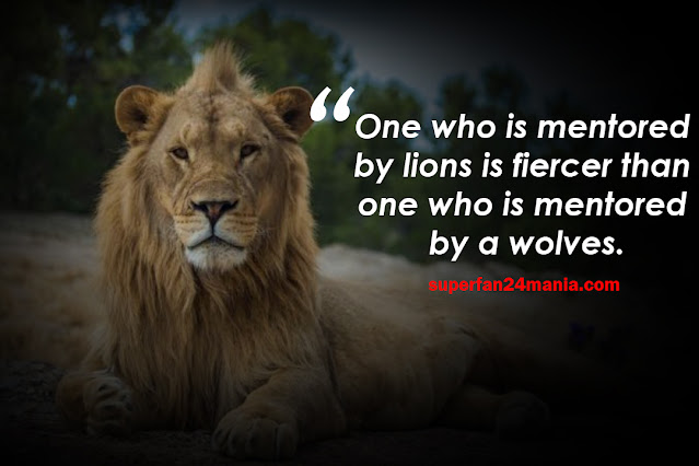 One who is mentored by lions is fiercer than one who is mentored by a wolves.