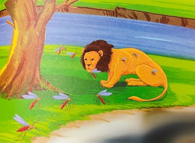 The lion looked at the dengue mosquito angrily and shouted.   Story of lion and the mosquito, the spider and the mosquito story, the lion and the spider story, The lion and the spider summary, lion spider, Short story 5th grade, Short stories to summarize 6th Grade,