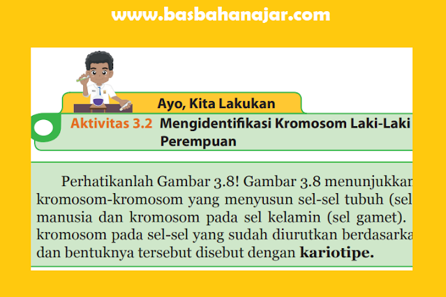 Aktivitas 3.2 Mengidentifikasi Kromosom Laki-Laki dan Perempuan