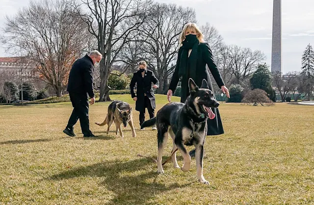 Jill Biden and Major in the foreground