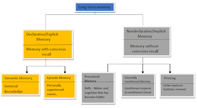Major systems in long term memory