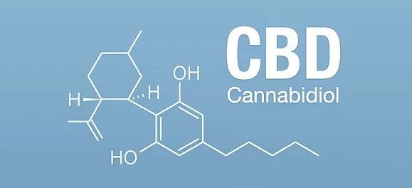 Top Reasons to Take CBD Every day
