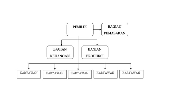 struktur organisasi perusahaan kecil