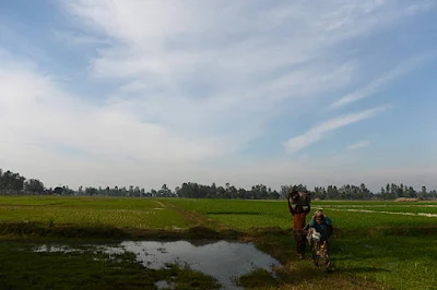 Plains of Jammu