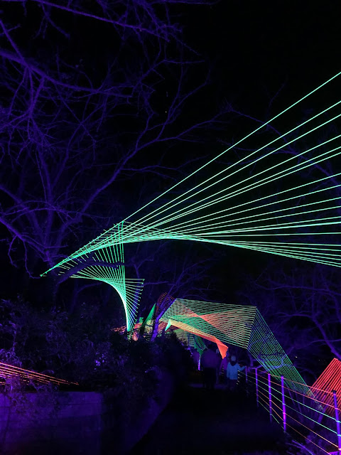 A neon web beckons forward at Lightscape.