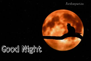 Good night shayari for love