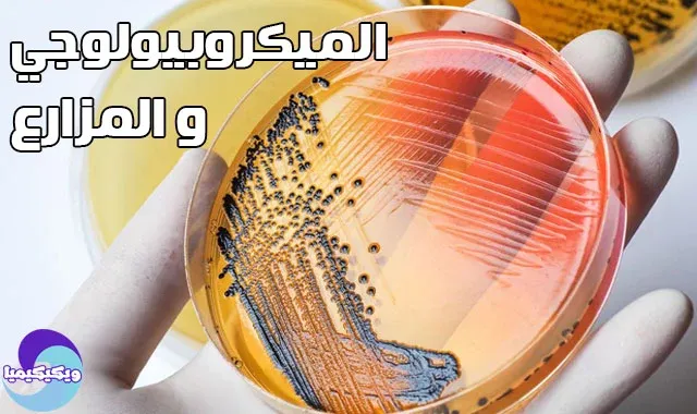 Microbiology and Bacteria