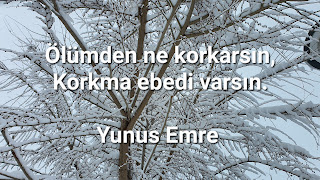 Resim