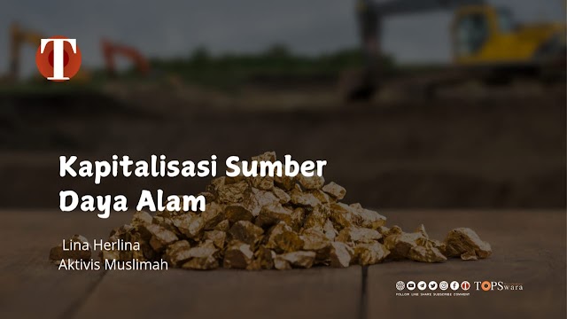 Kapitalisasi Sumber Daya Alam