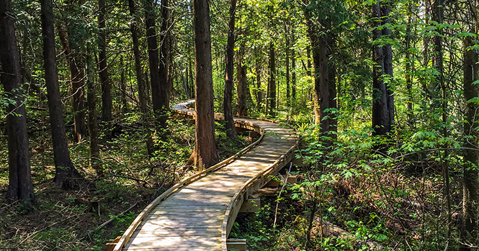 Trail Banner