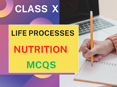 Multiple Choice Questions (MCQs) on Nutrition (Life Processes) for Class 10 CBSE