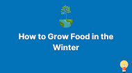 Season Extenders: How to Grow Food in the Winter