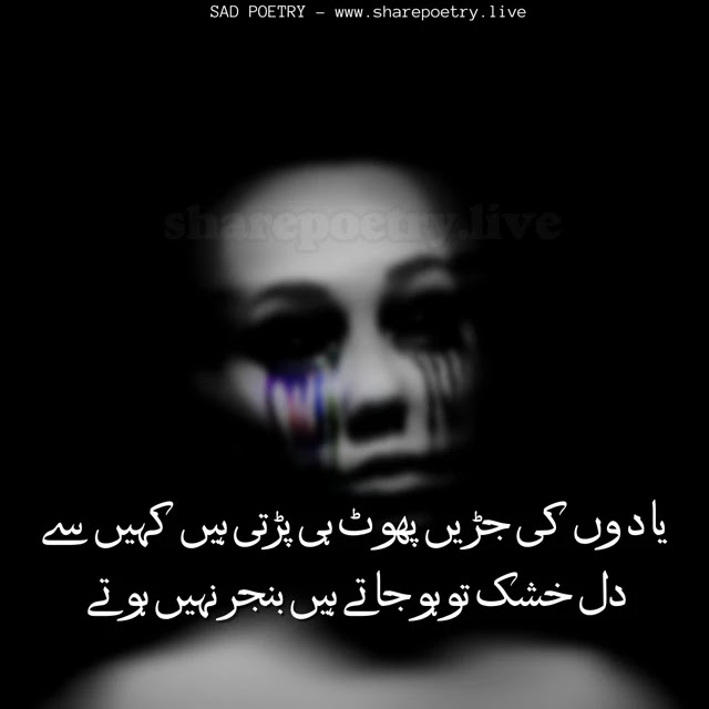 Very Sad Poetry in Urdu 2 Lines 2024 Images
