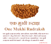 One Mukhi Rudraksha : एकमुखी रुद्राक्ष की सम्पूर्ण जानकारी : 1 face Rudraksha All information : only4us.in