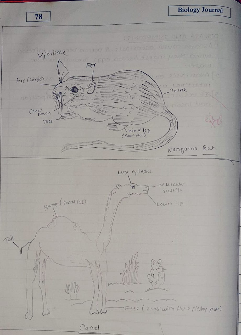 Maharashtra SSC Board 12 Class practical of Biology Journal solutions Part-2