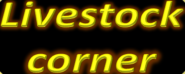 Livestockcorner