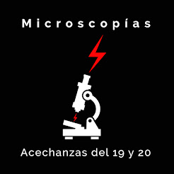 Microscopías. Acechanzas del 19 y 20, 2022.