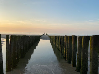 houten paalhoofden domburg