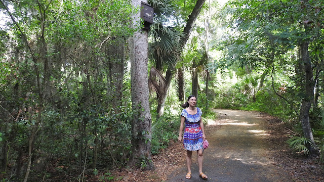 Vaill Point Park
