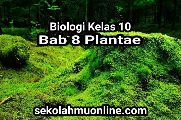 Soal Pilihan Ganda Biologi Kelas 10 Bab 8 Plantae lengkap dengan Kunci Jawabannya